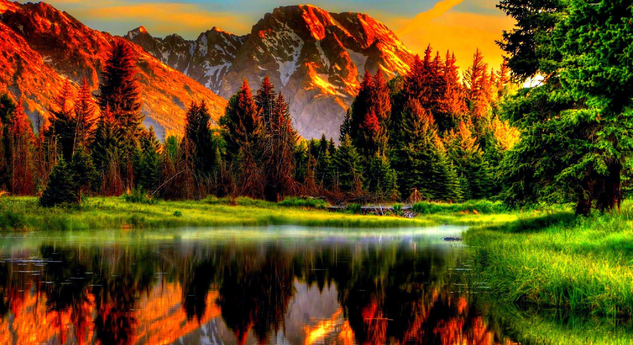 Best Nature Backgrounds