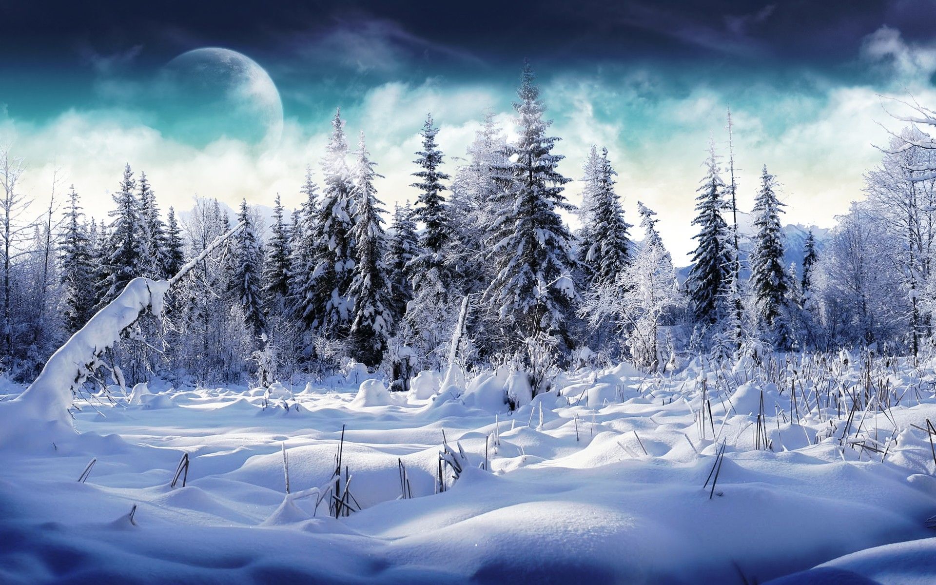 Best Winter Backgrounds