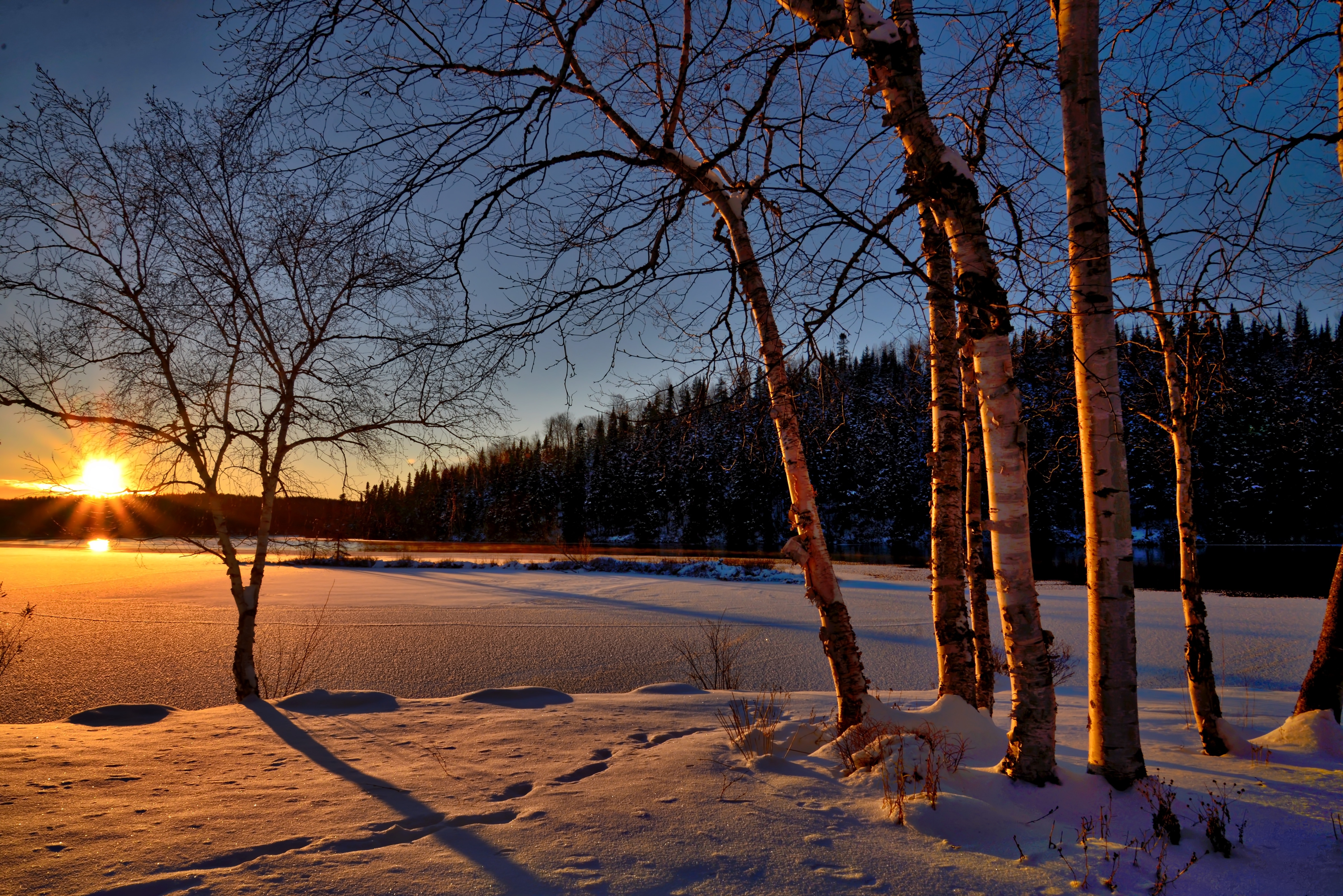 Best Winter Backgrounds