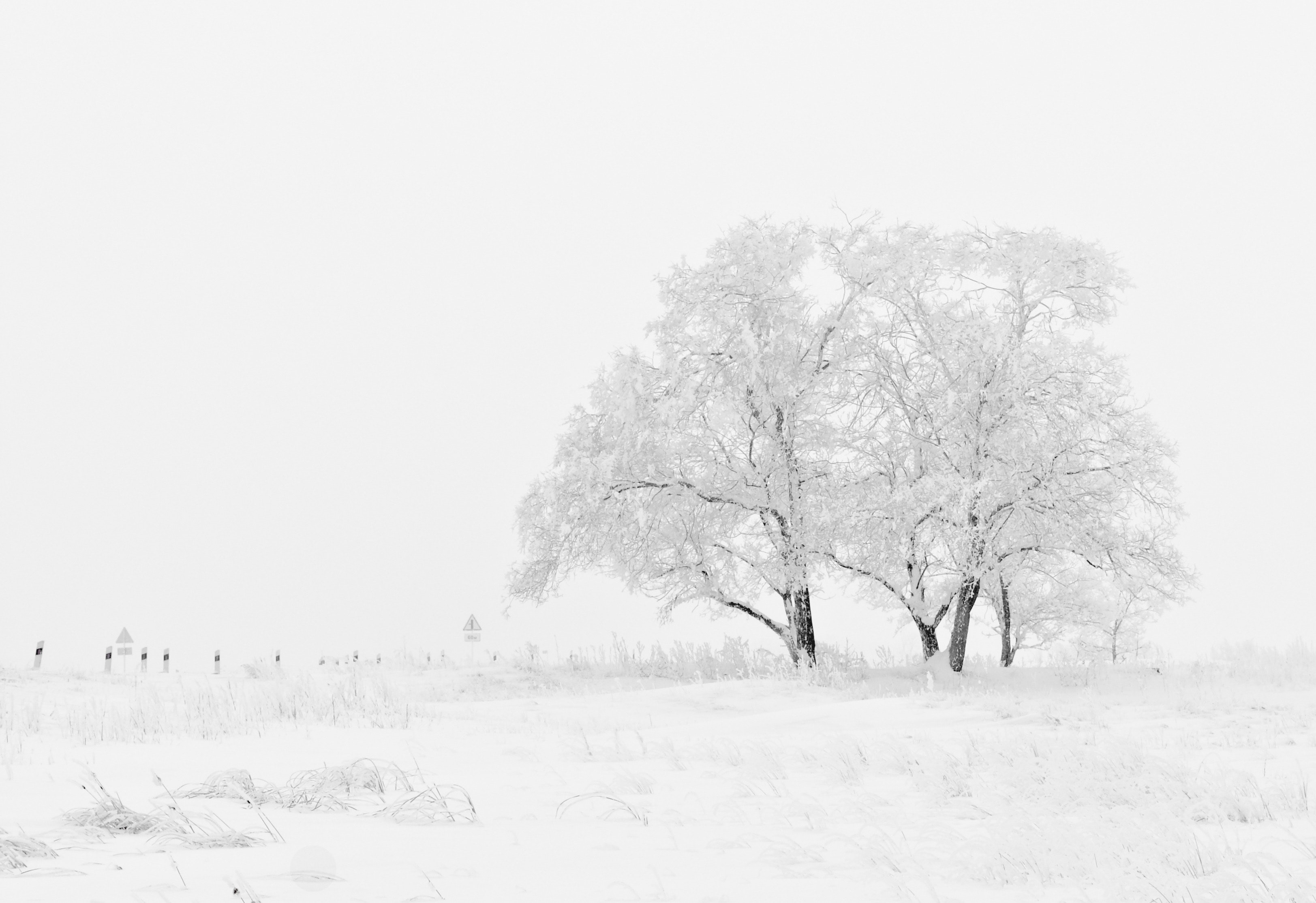 Best Winter Backgrounds