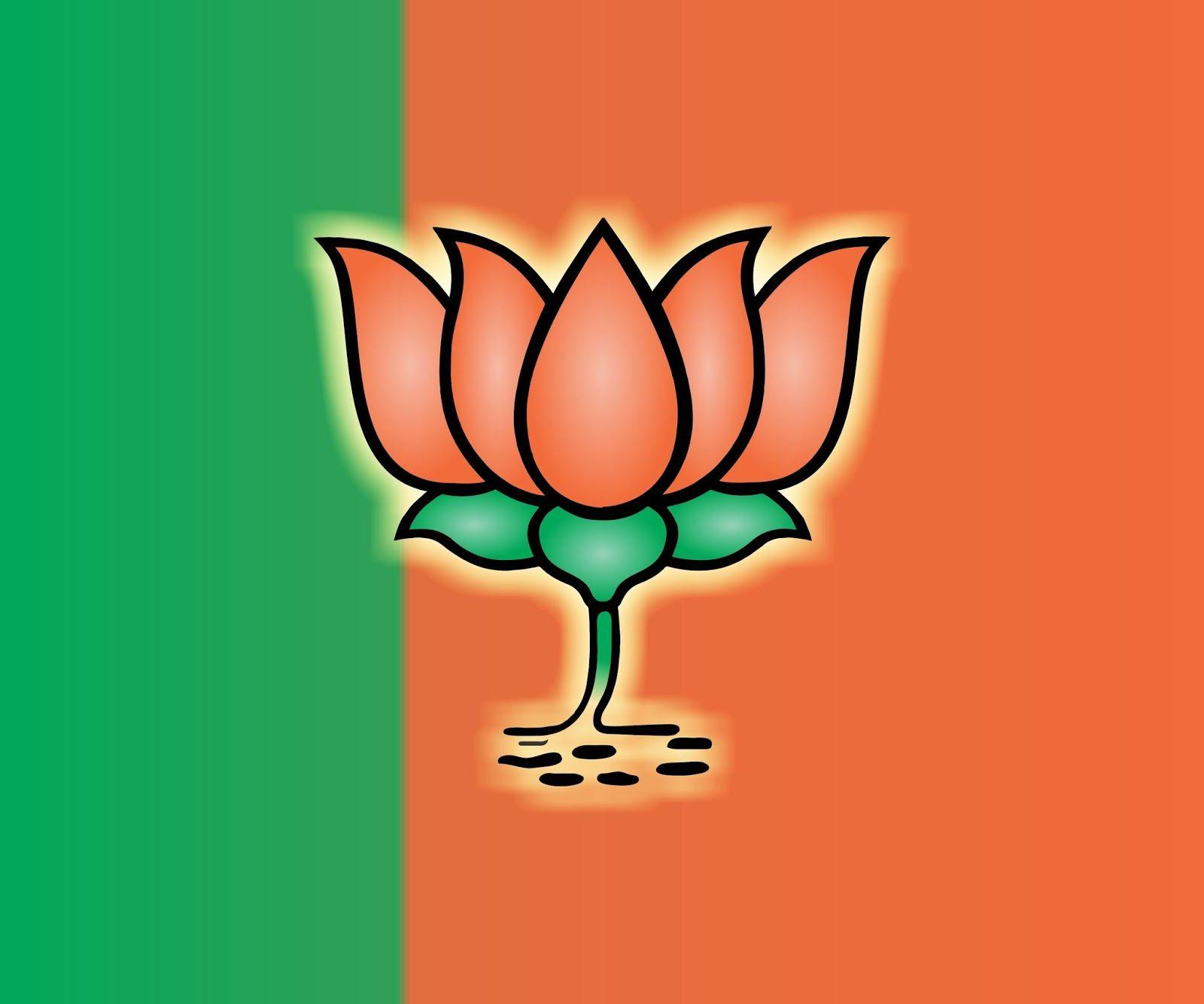 Bjp Background