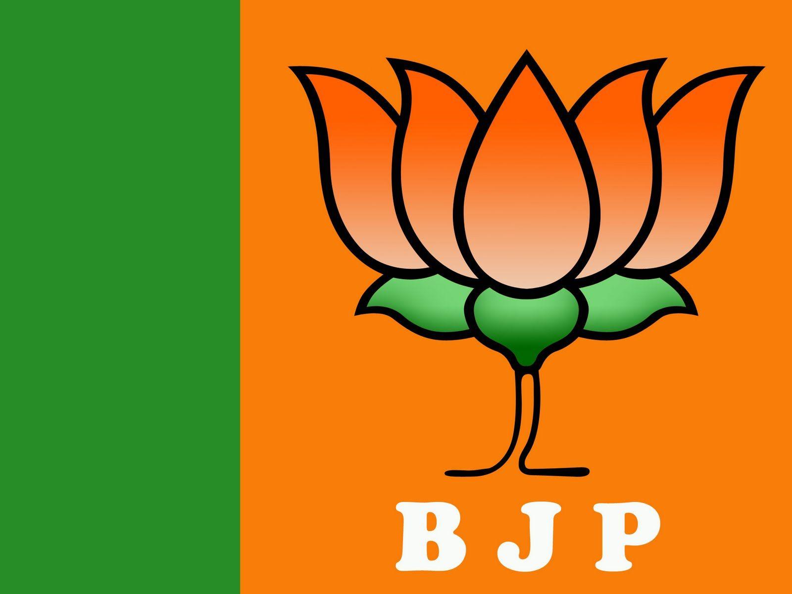 Bjp Background