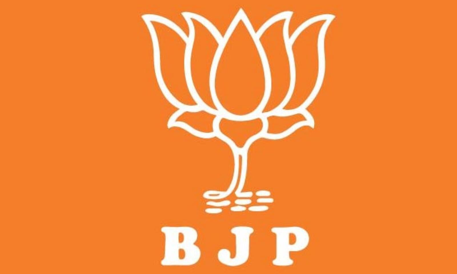 Bjp Background