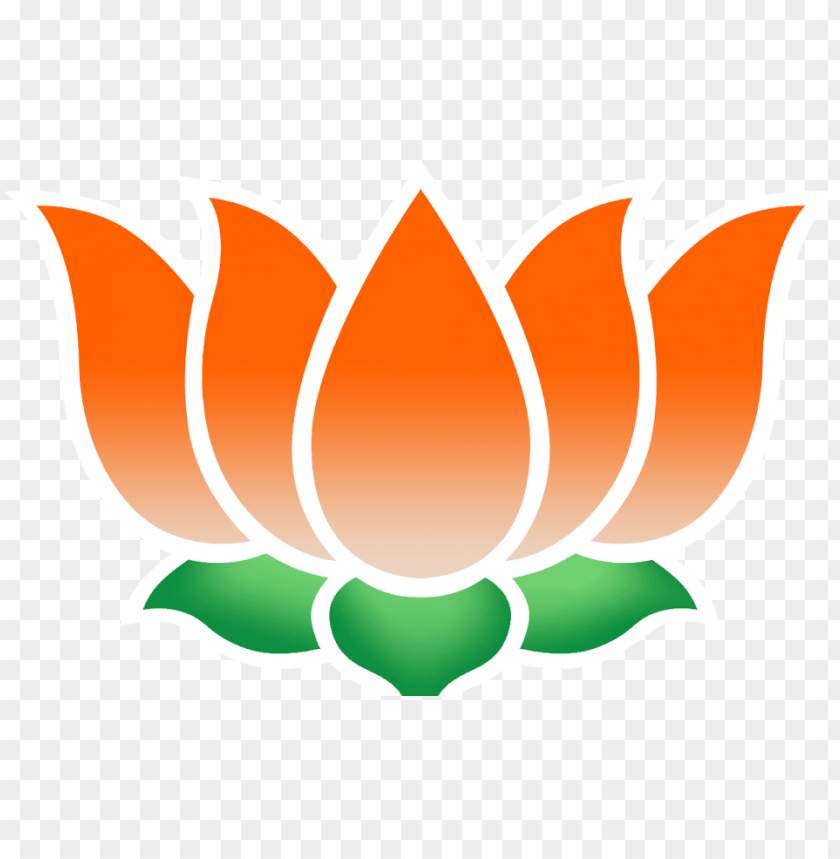 Bjp Background