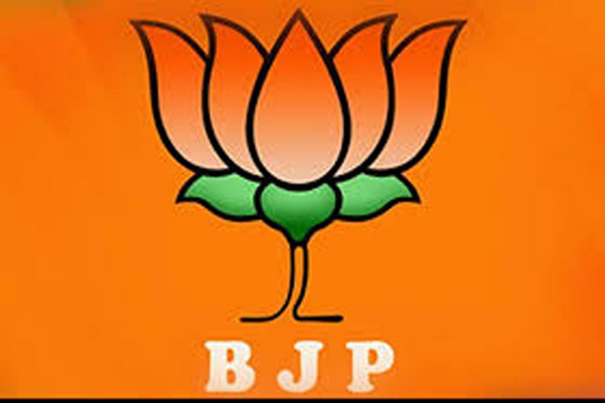 Bjp Background