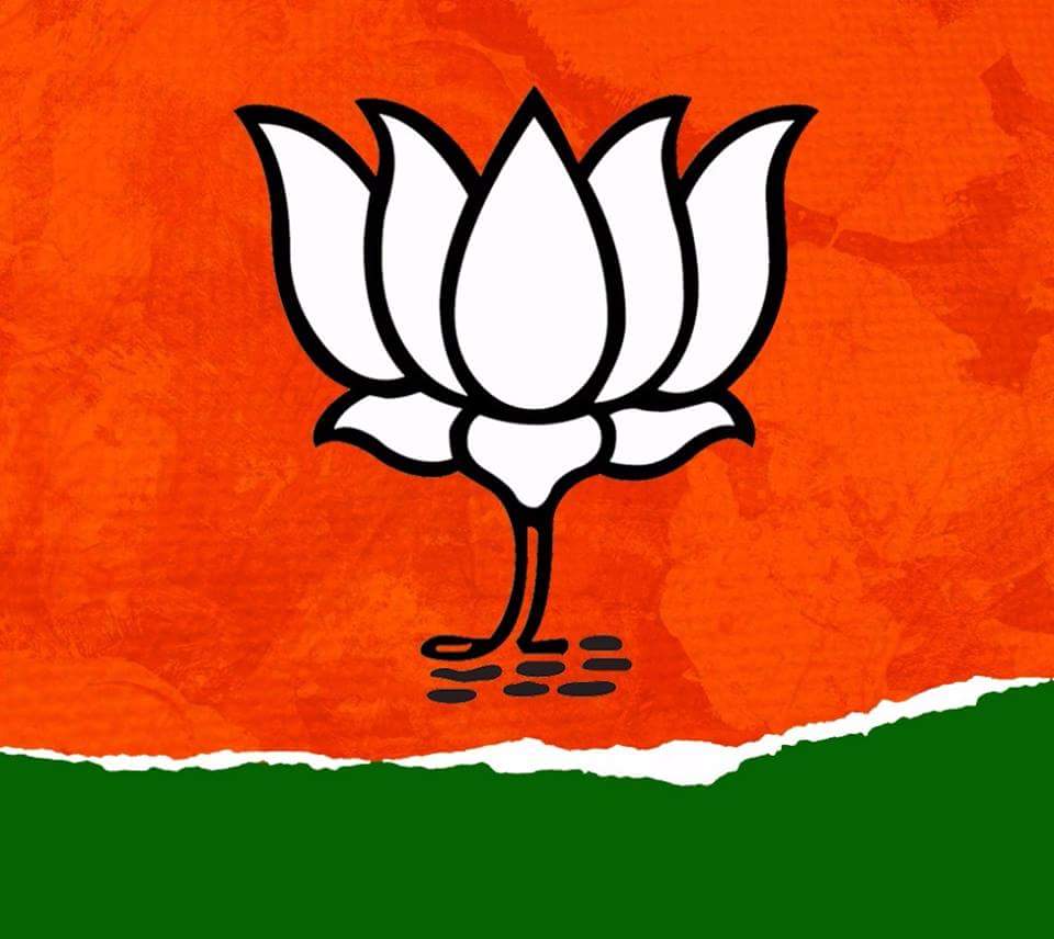 Bjp Background