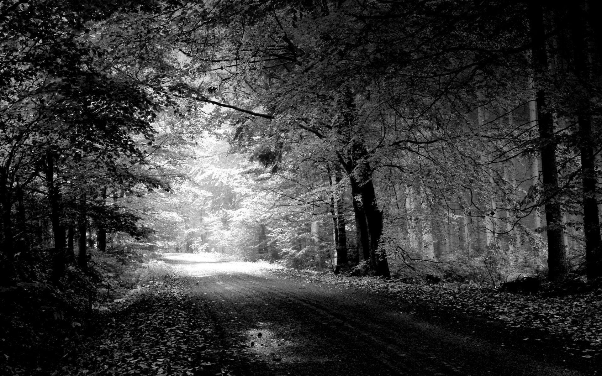 Black And White Nature Backgrounds