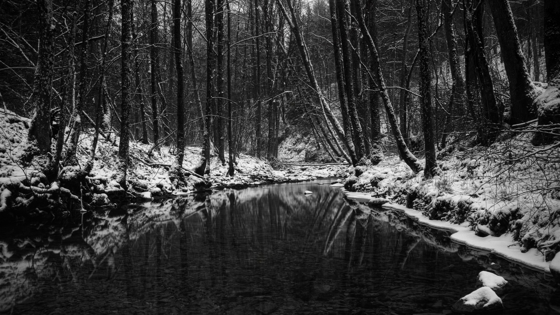 Black And White Nature Backgrounds