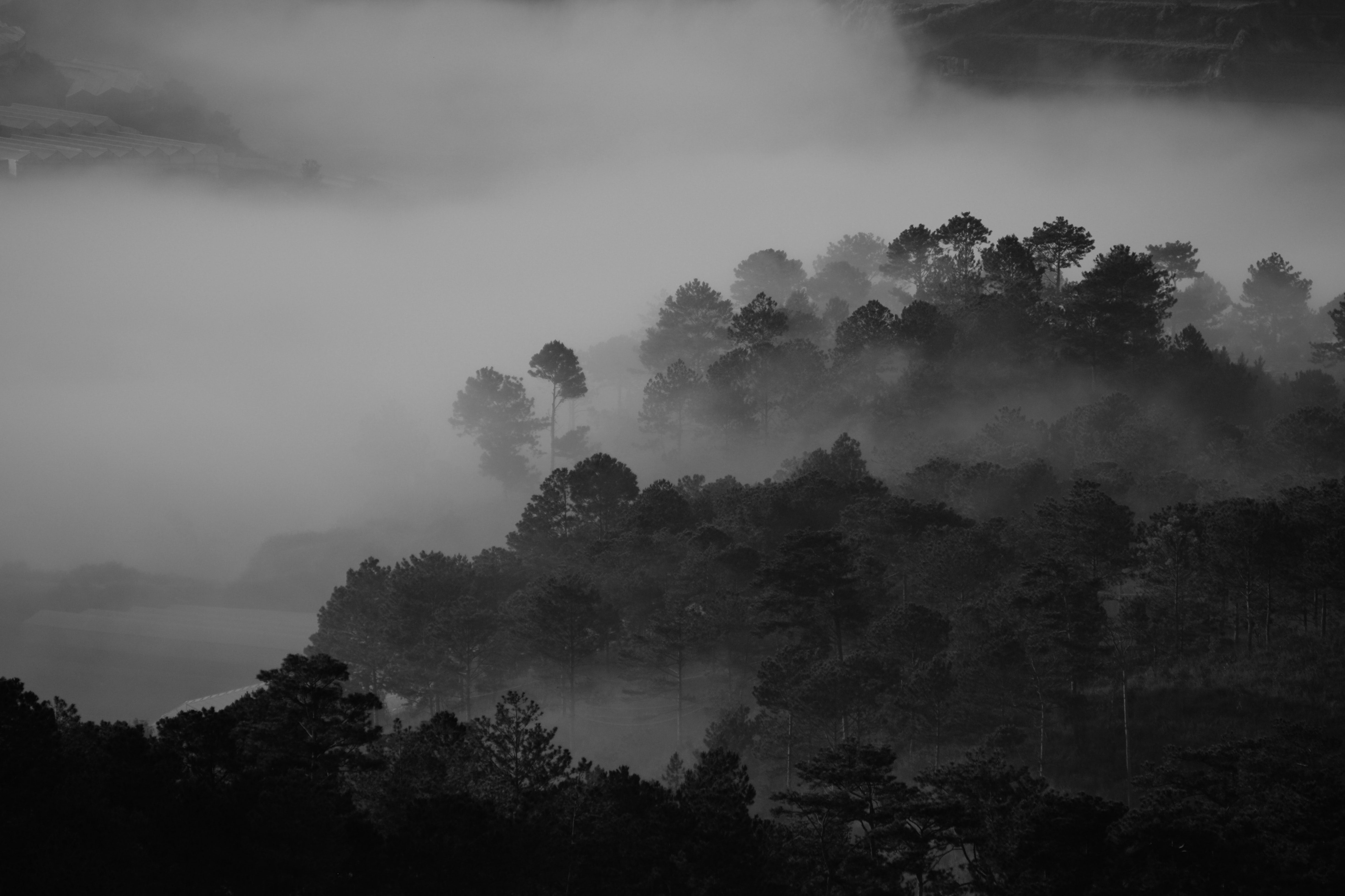 Black And White Nature Backgrounds