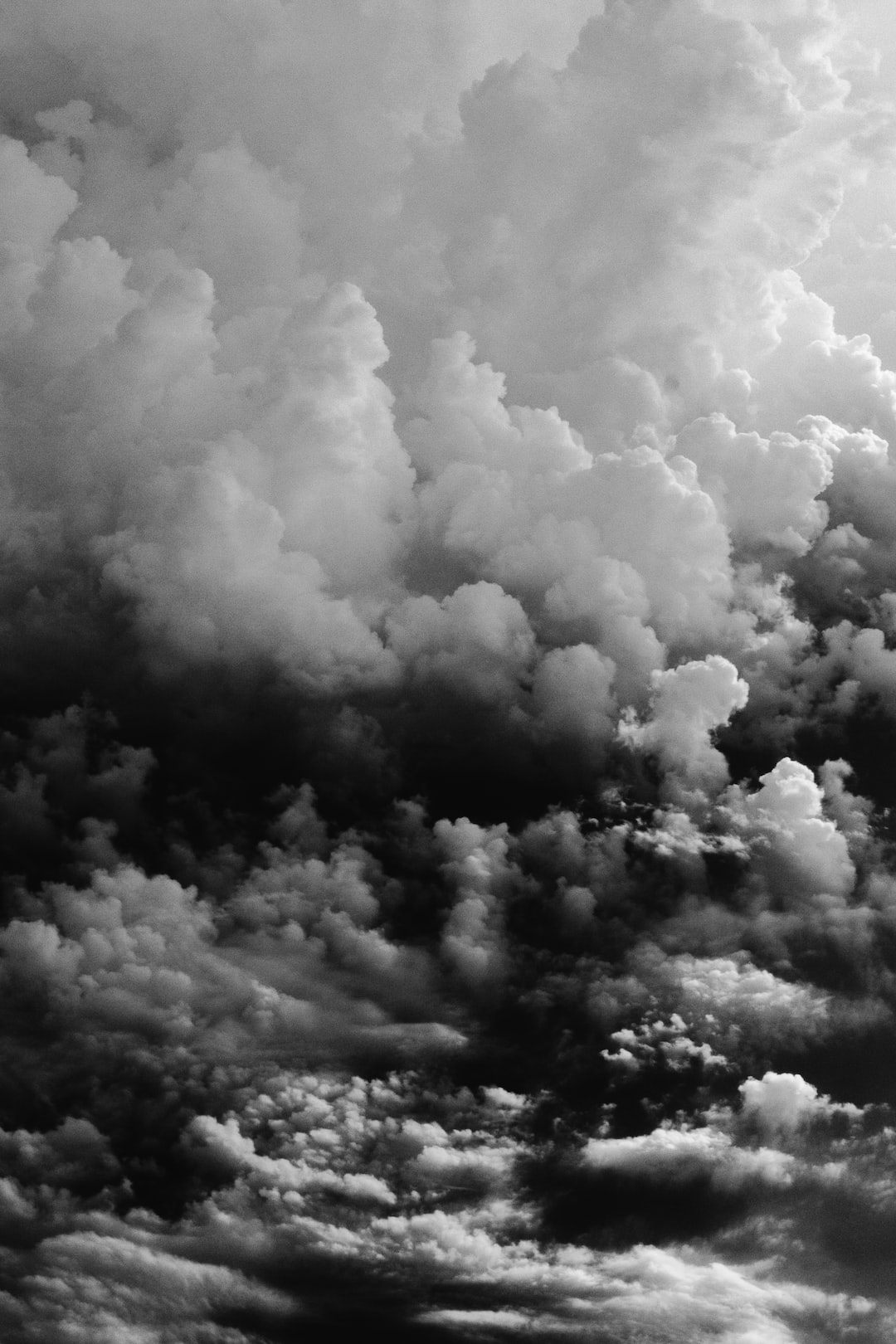 Black And White Nature Backgrounds