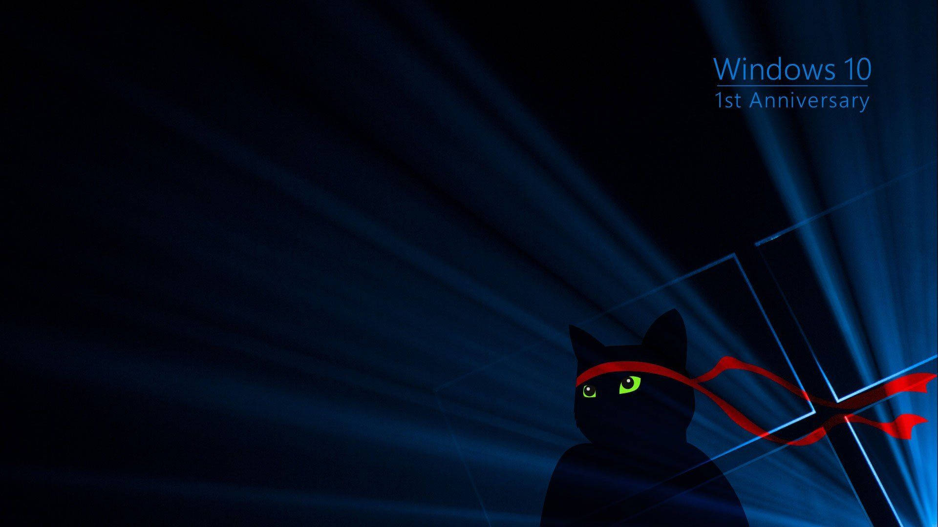 Black Cat Desktop Background