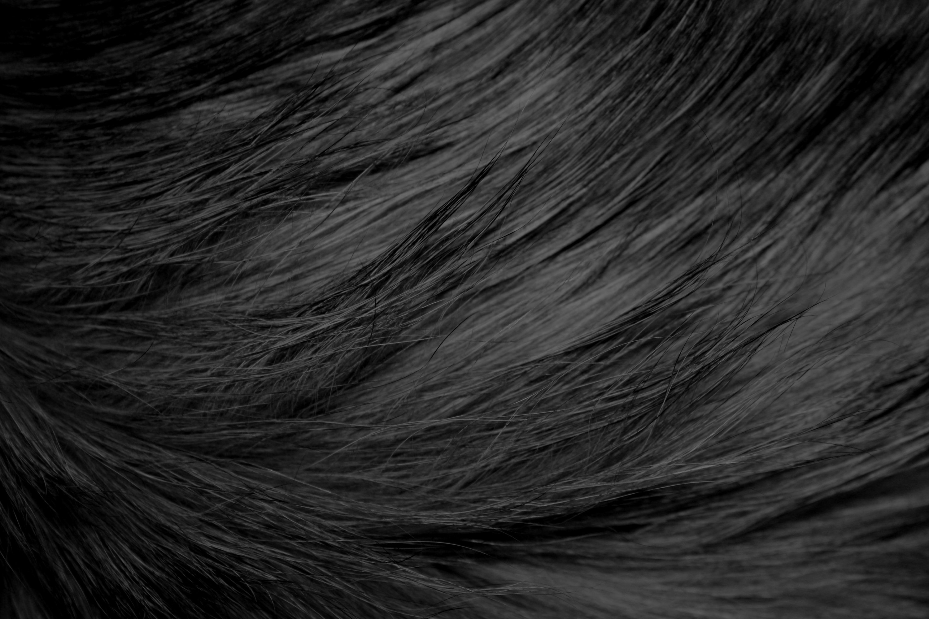 Black Fur Background