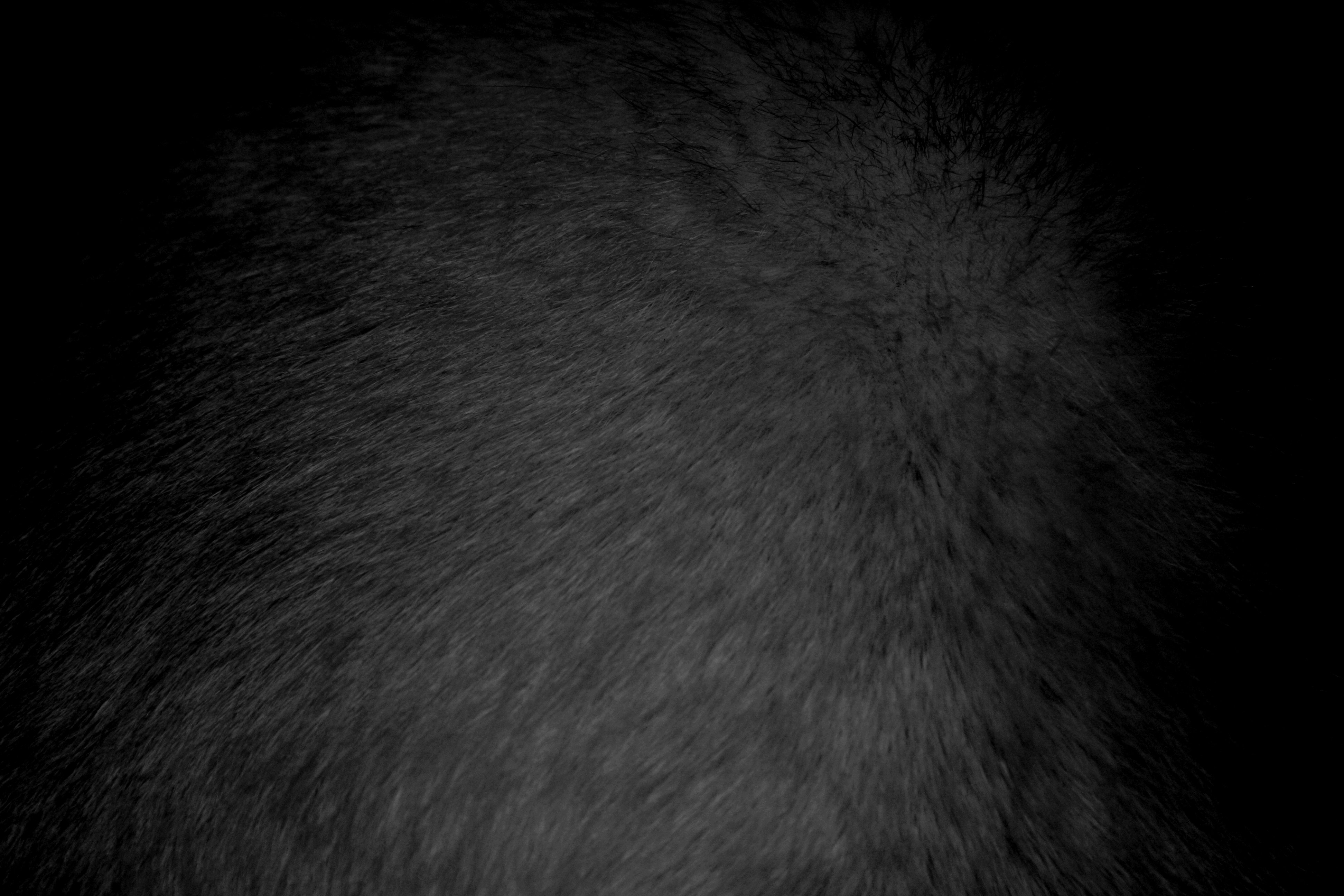 Black Fur Background