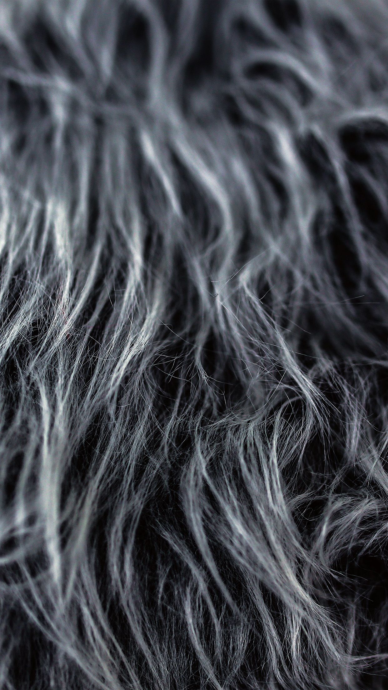 Black Fur Background