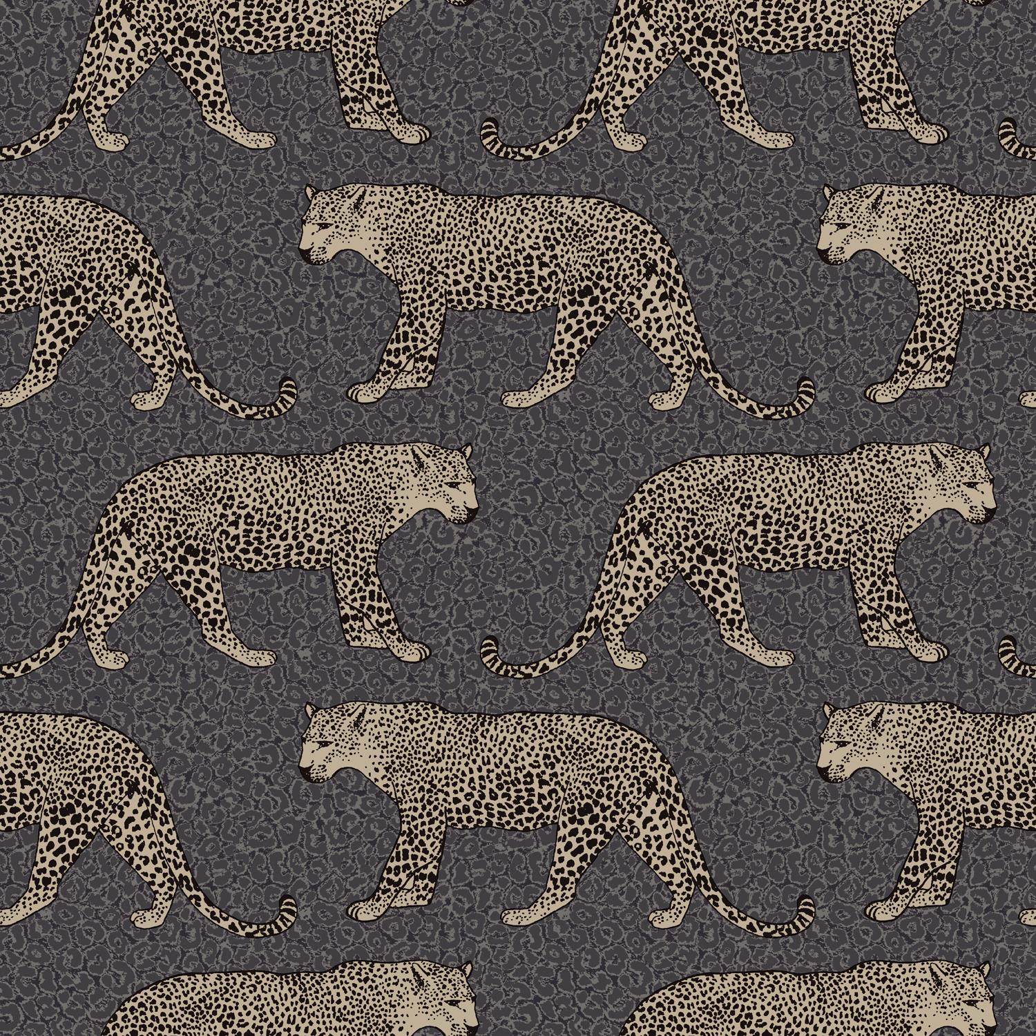 Black Leopard Background