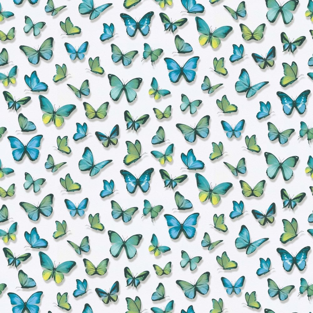 Butterfly Background