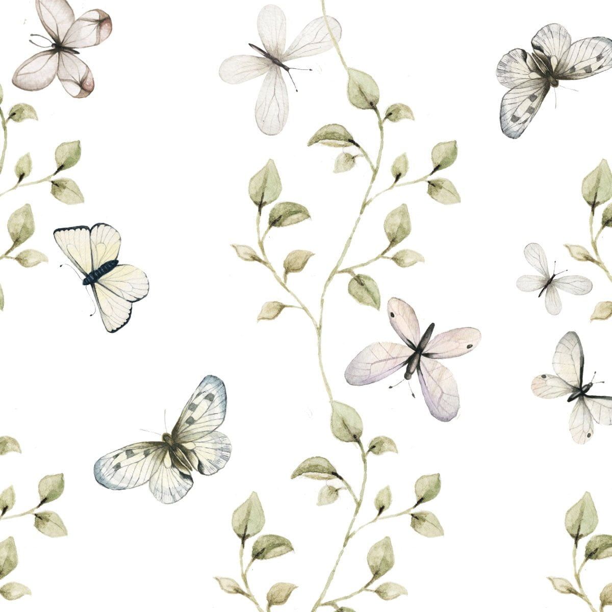 Butterfly Background