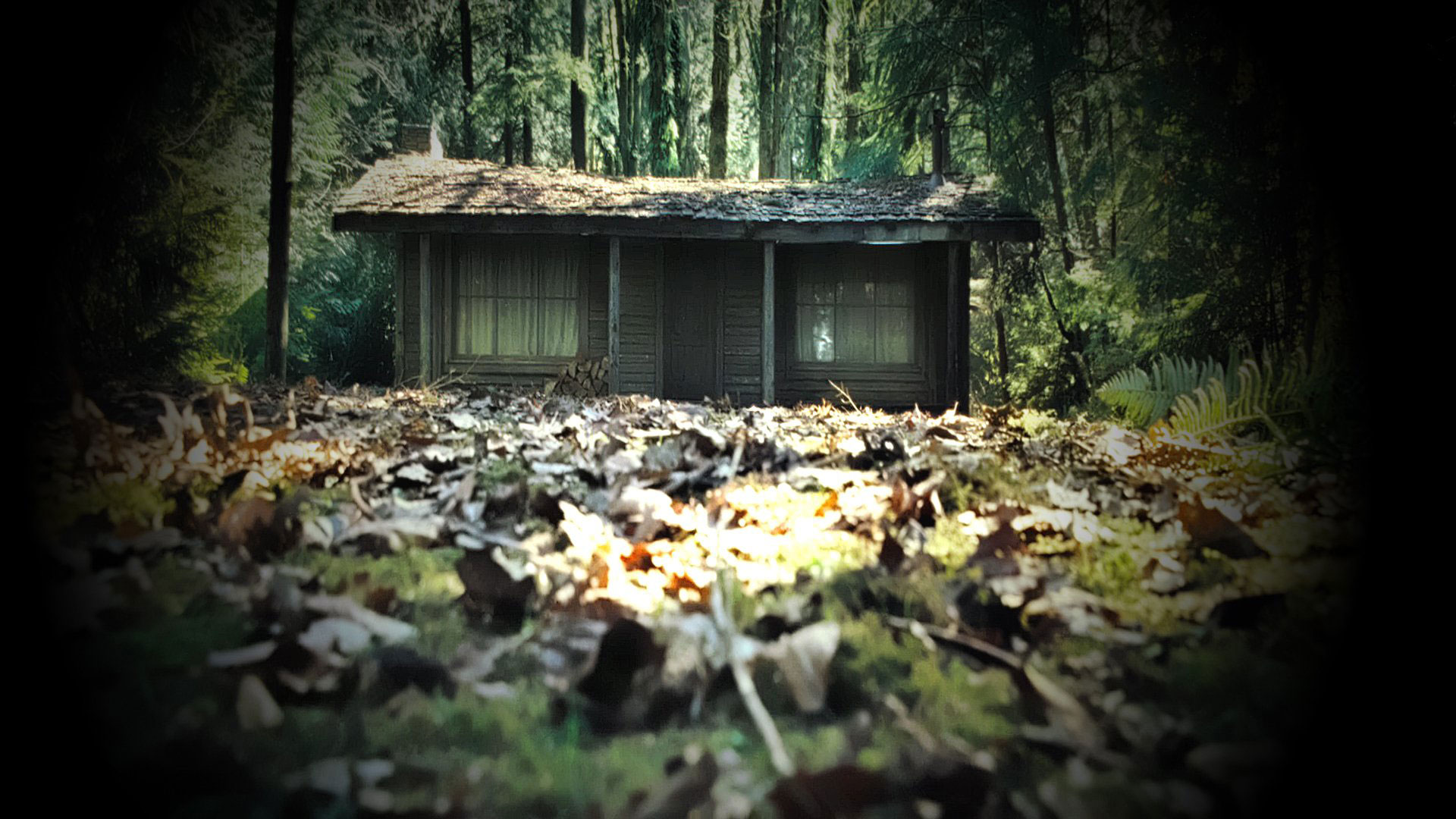 Cabin In The Woods Background