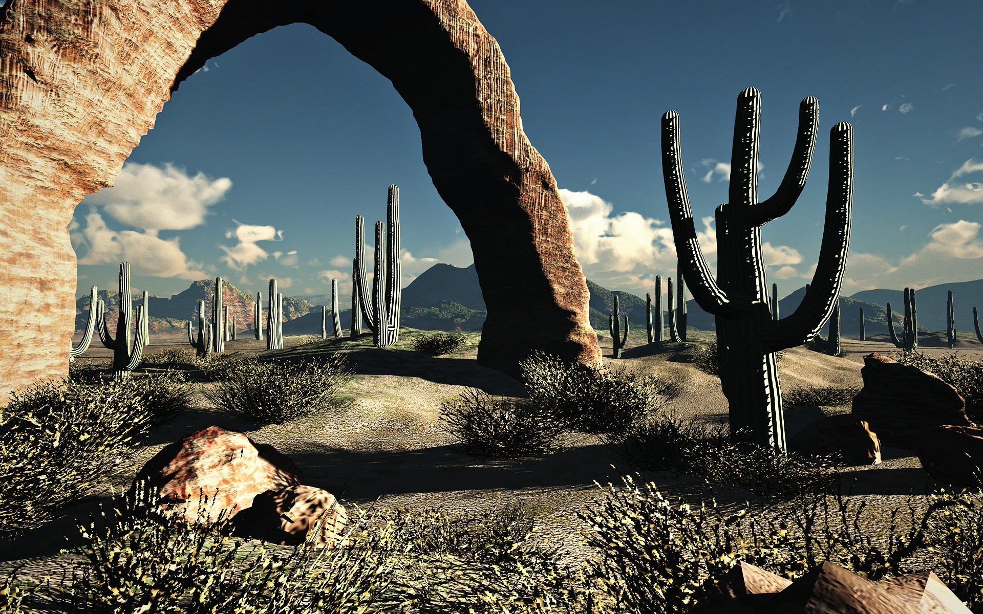 Cactus Desert Background