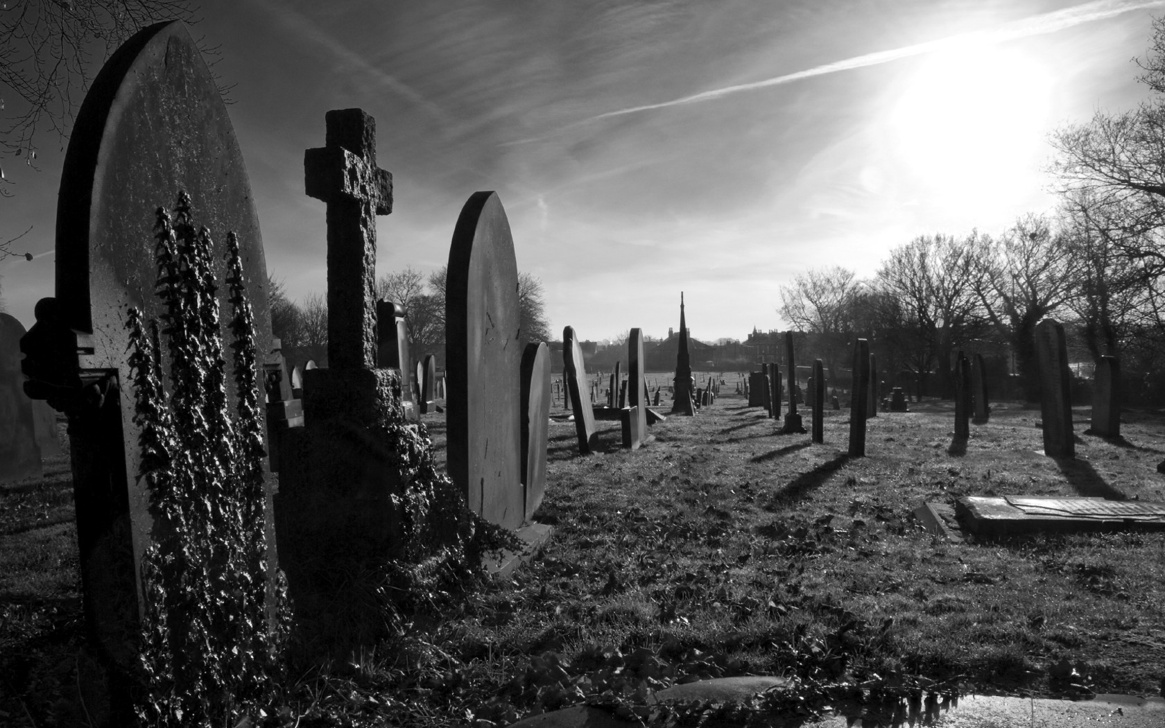 Cemetery Backgrounds