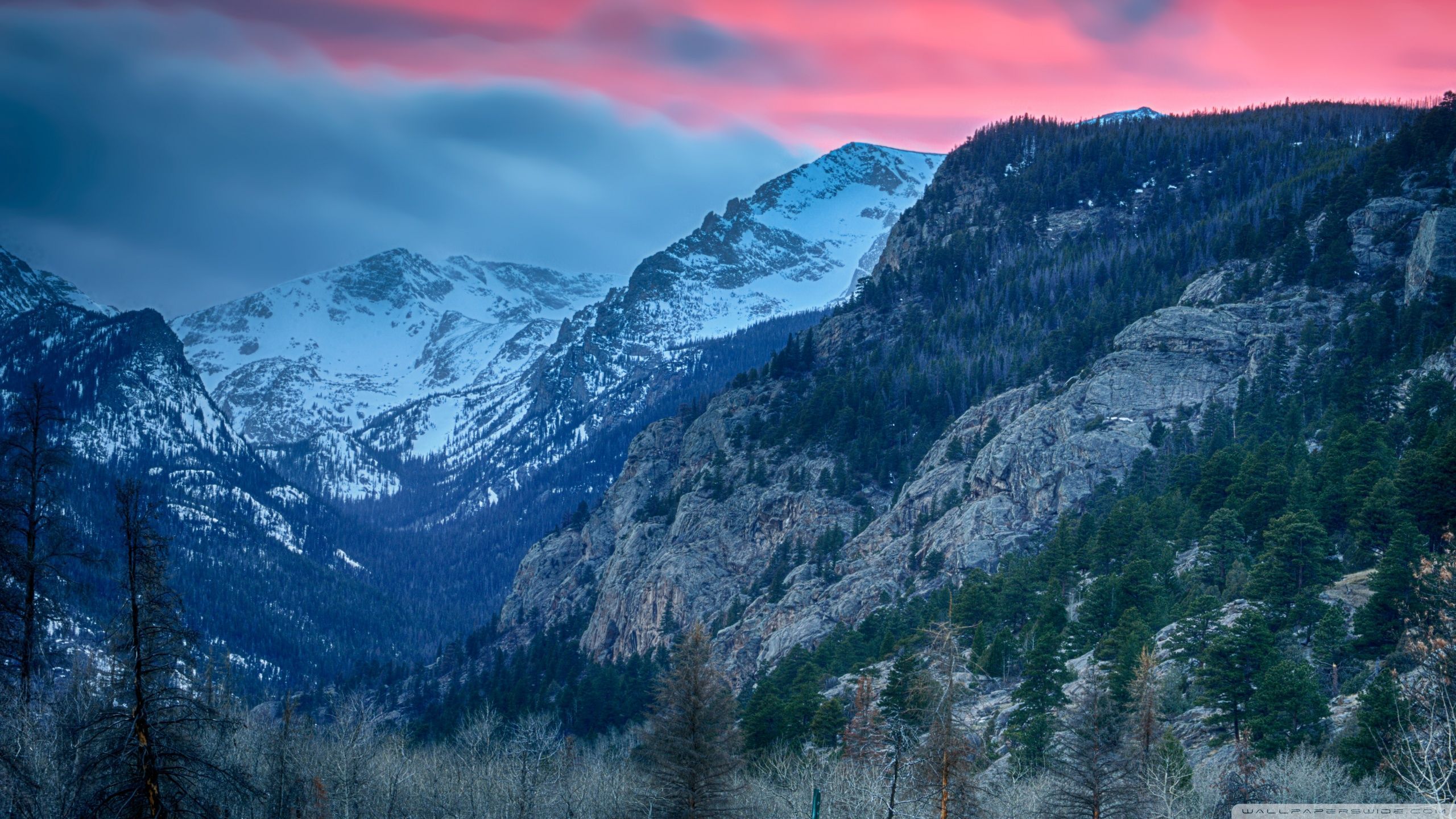 Colorado Mountains Background