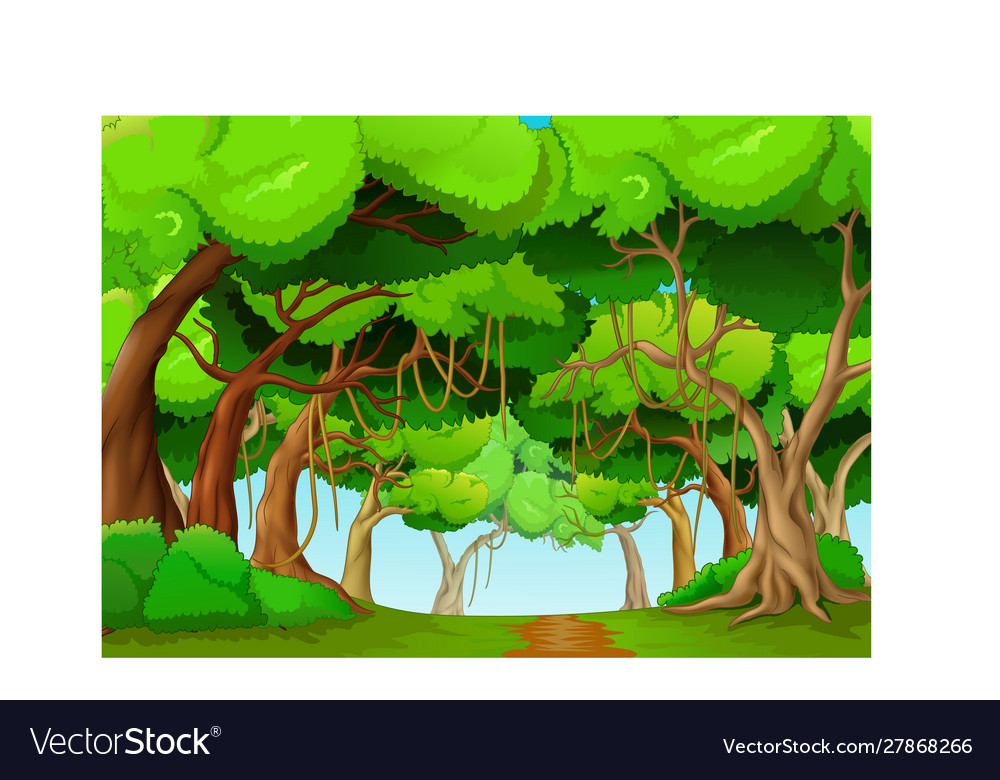 Cool Forest Backgrounds