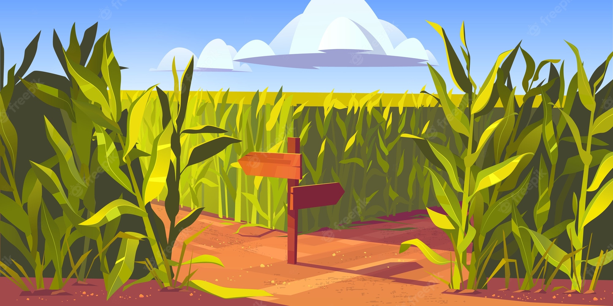 Corn Field Background