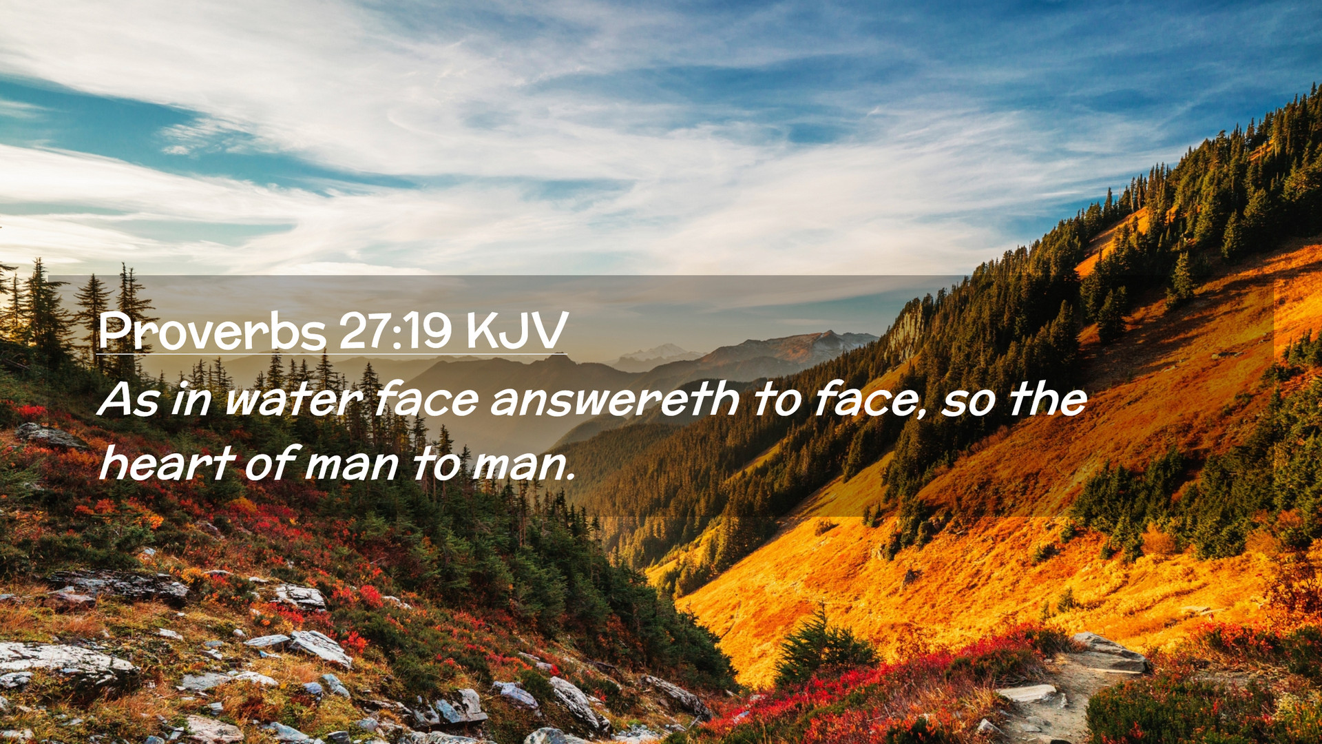 Desktop Backgrounds Bible Quotes