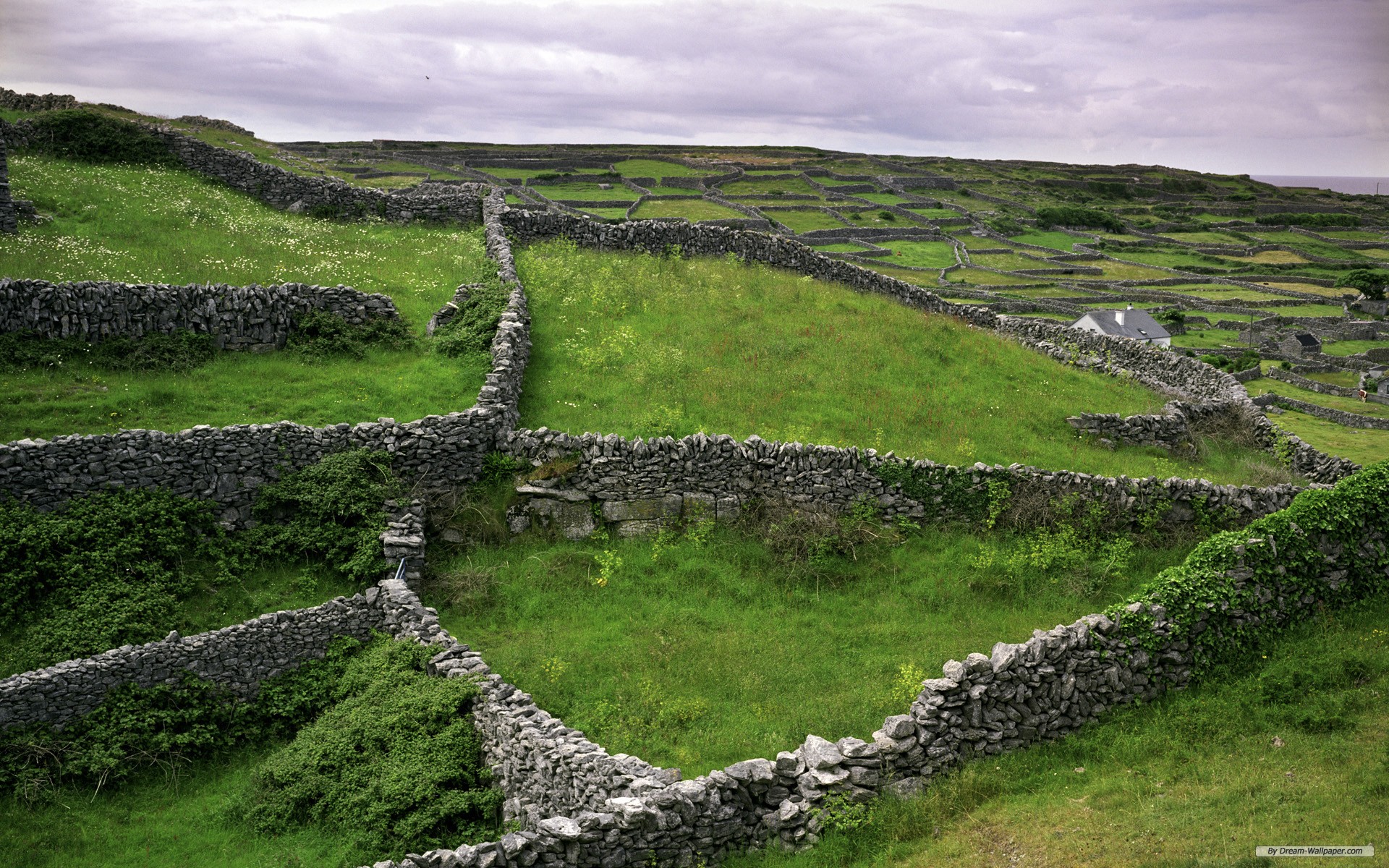 Desktop Backgrounds Ireland