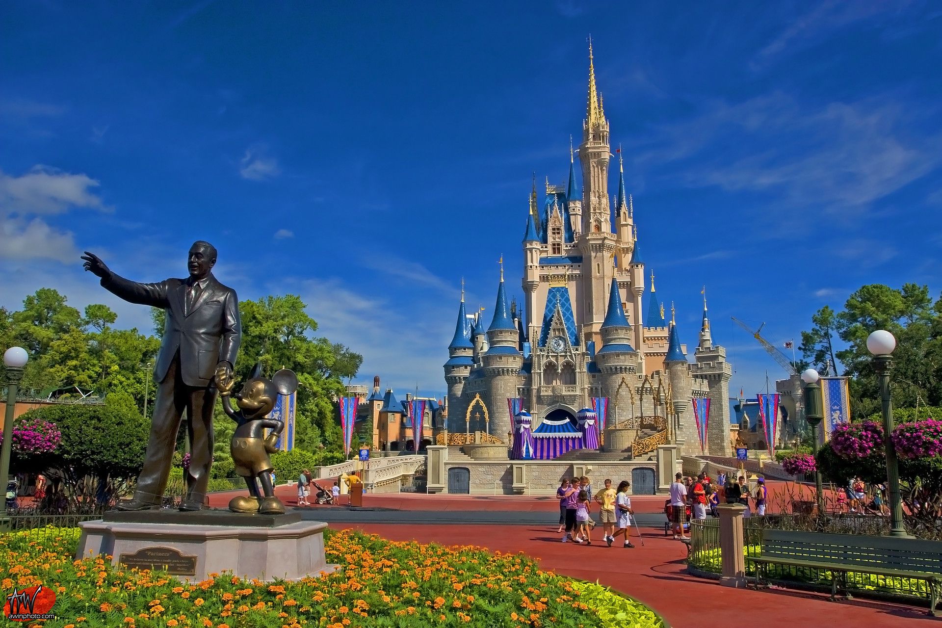 Disney World Castle Background