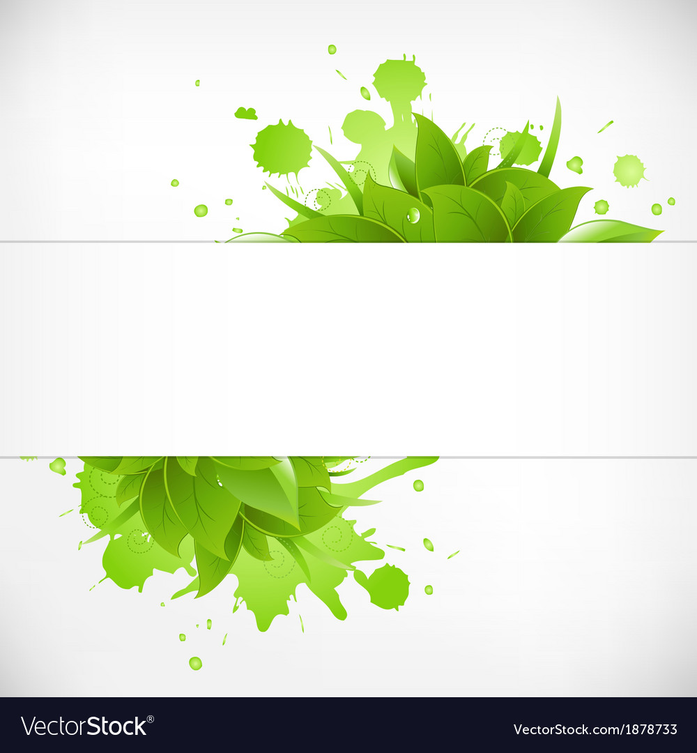 Eco Backgrounds