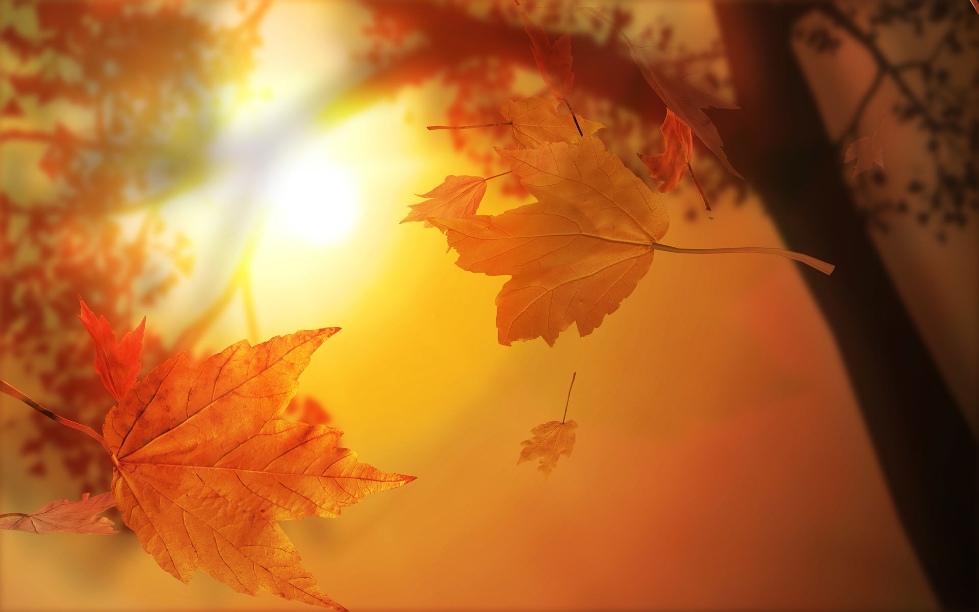 Fall Computer Backgrounds