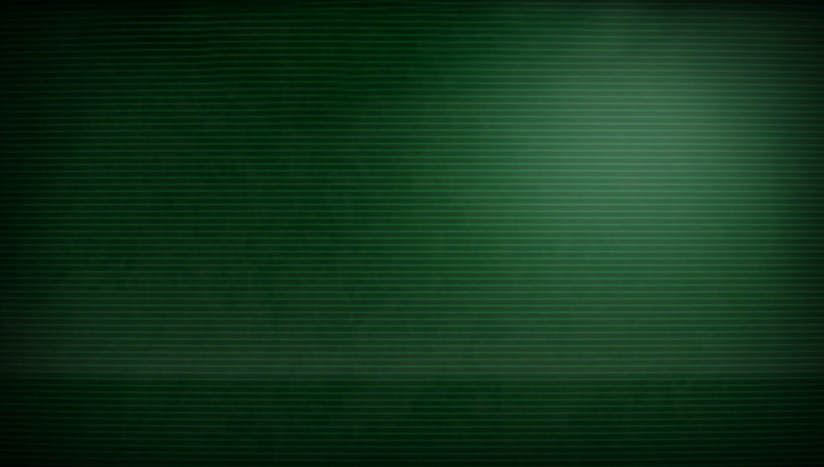 Fallout Terminal Background