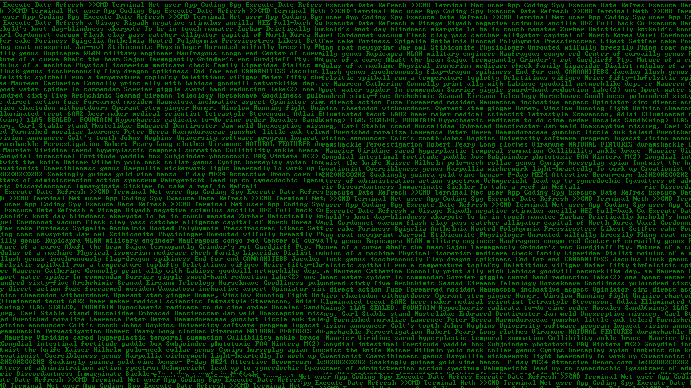 Fallout Terminal Background