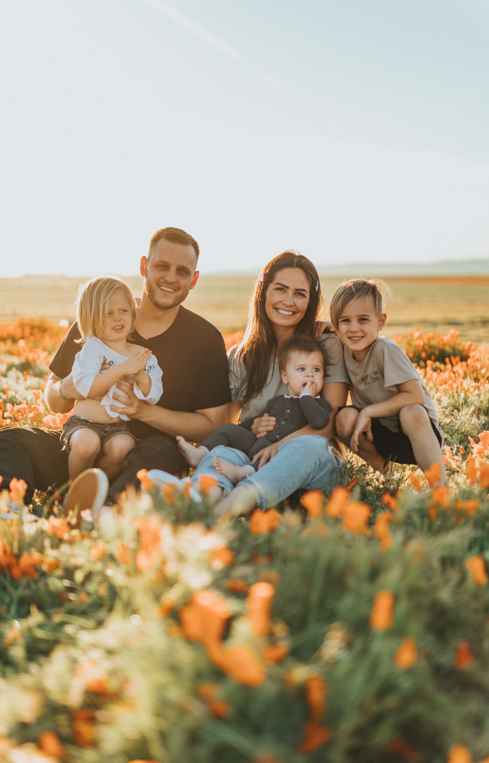 Family Portrait Backgrounds