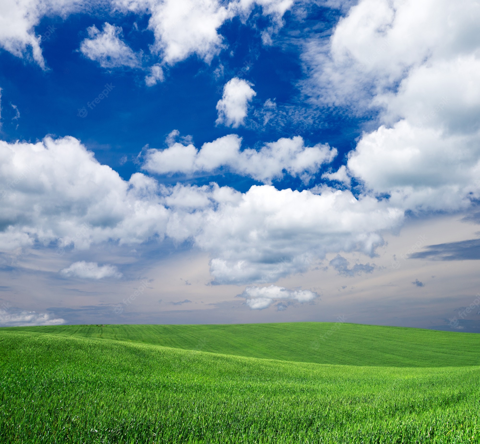 Field And Sky Background