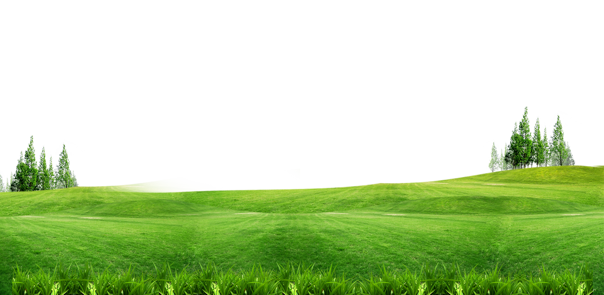 Field Of Grass Background