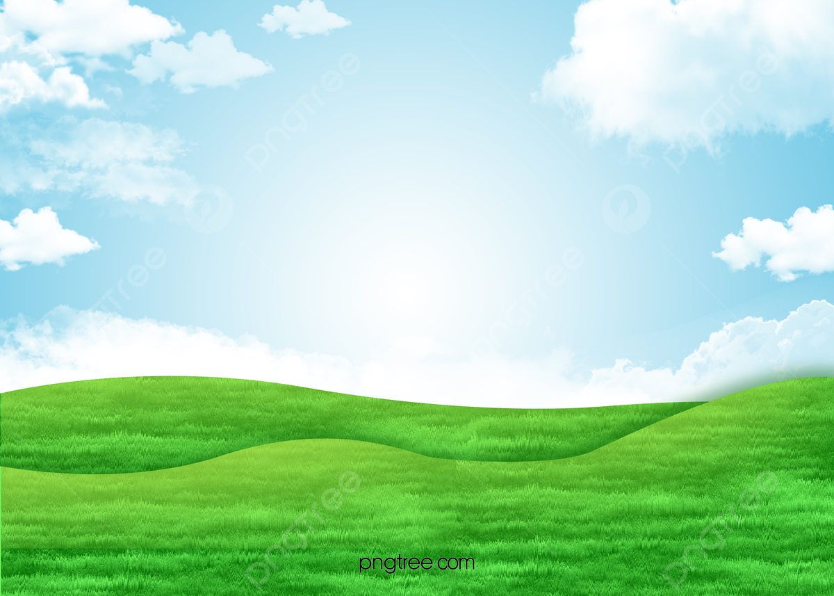 Field Of Grass Background