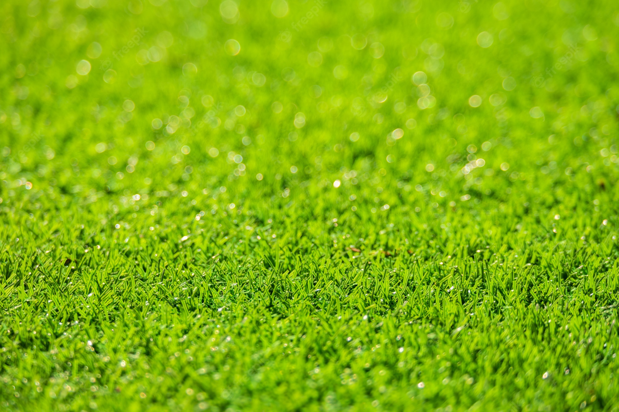 Field Of Grass Background