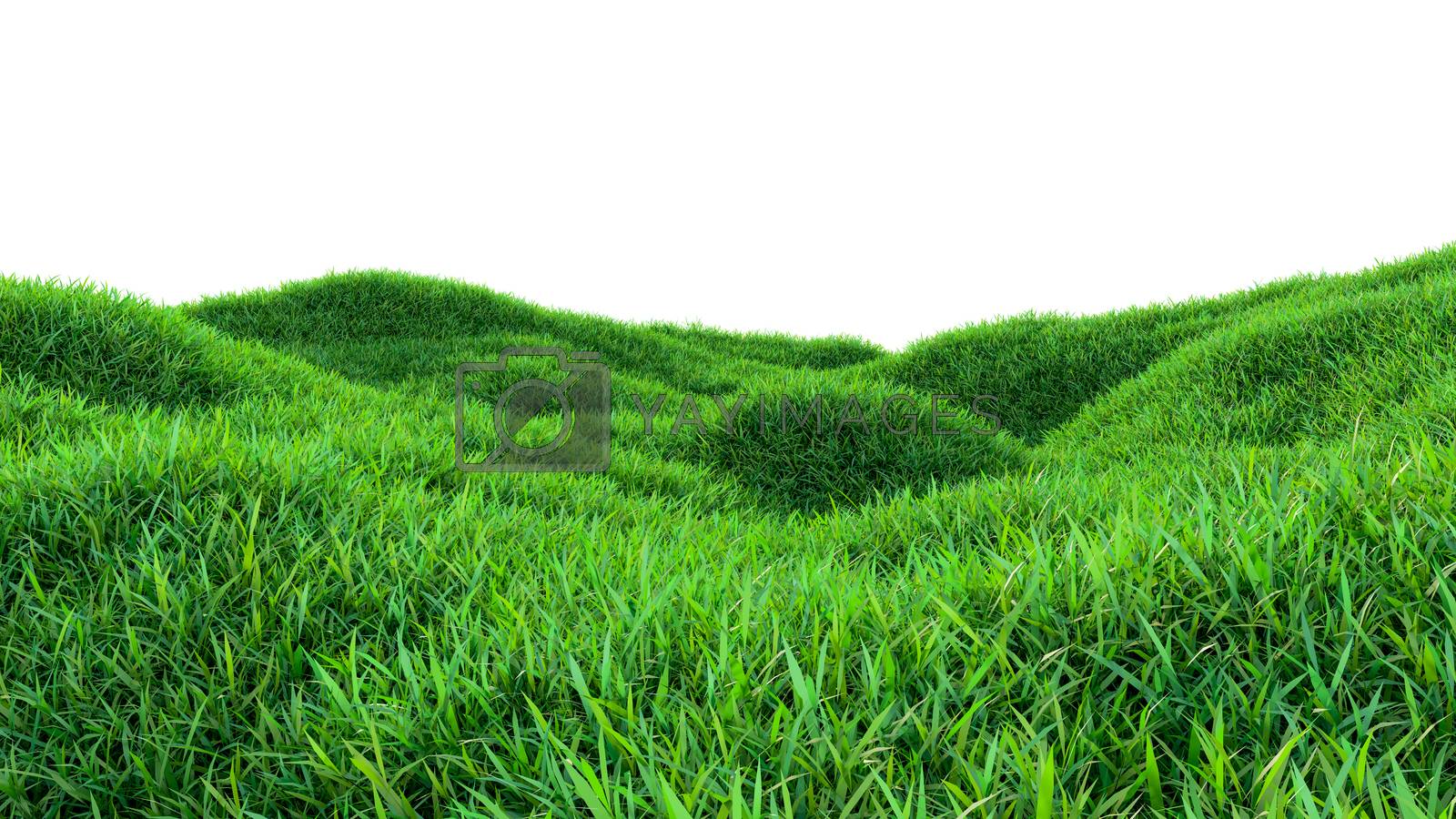 Field Of Grass Background