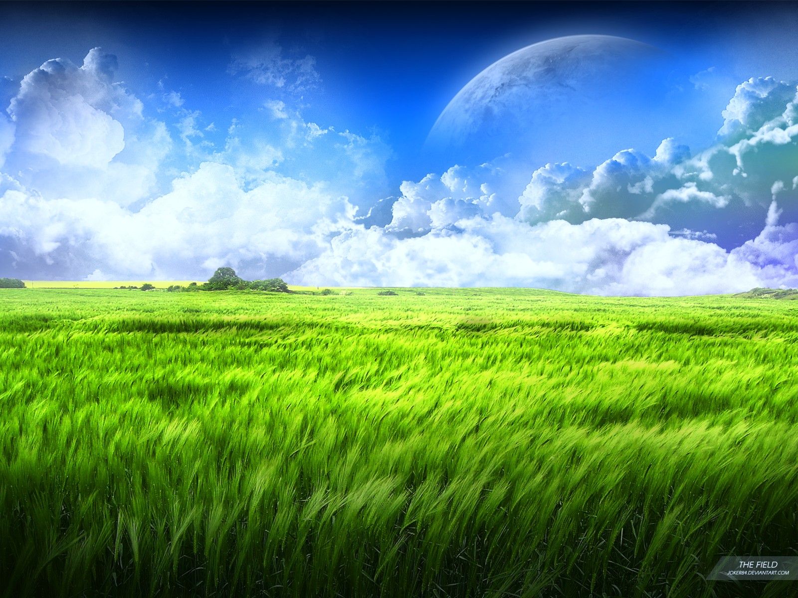 Field Of Grass Background