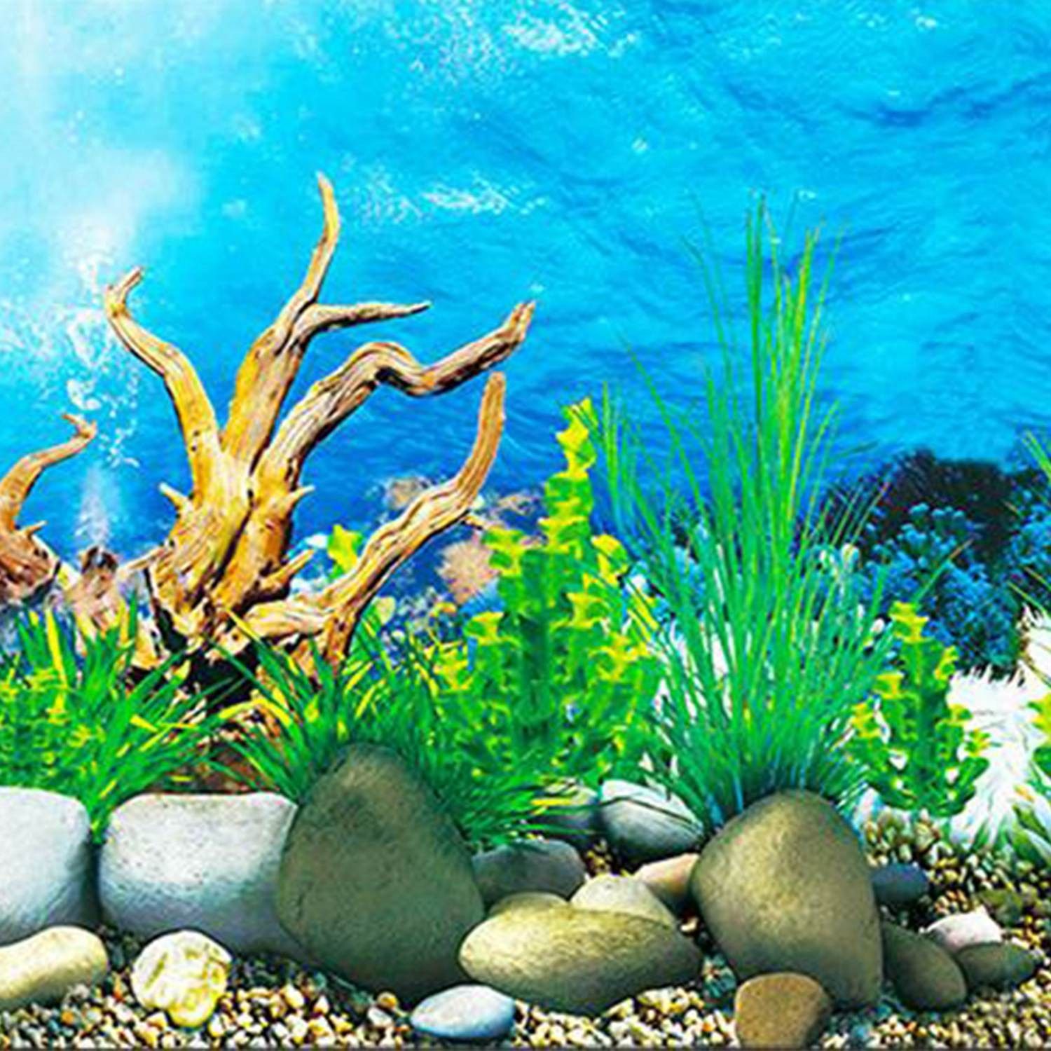 Fish Tank Background