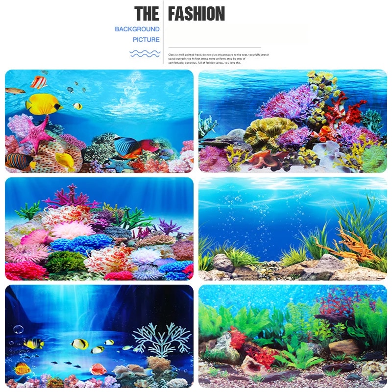 Fish Tank Background