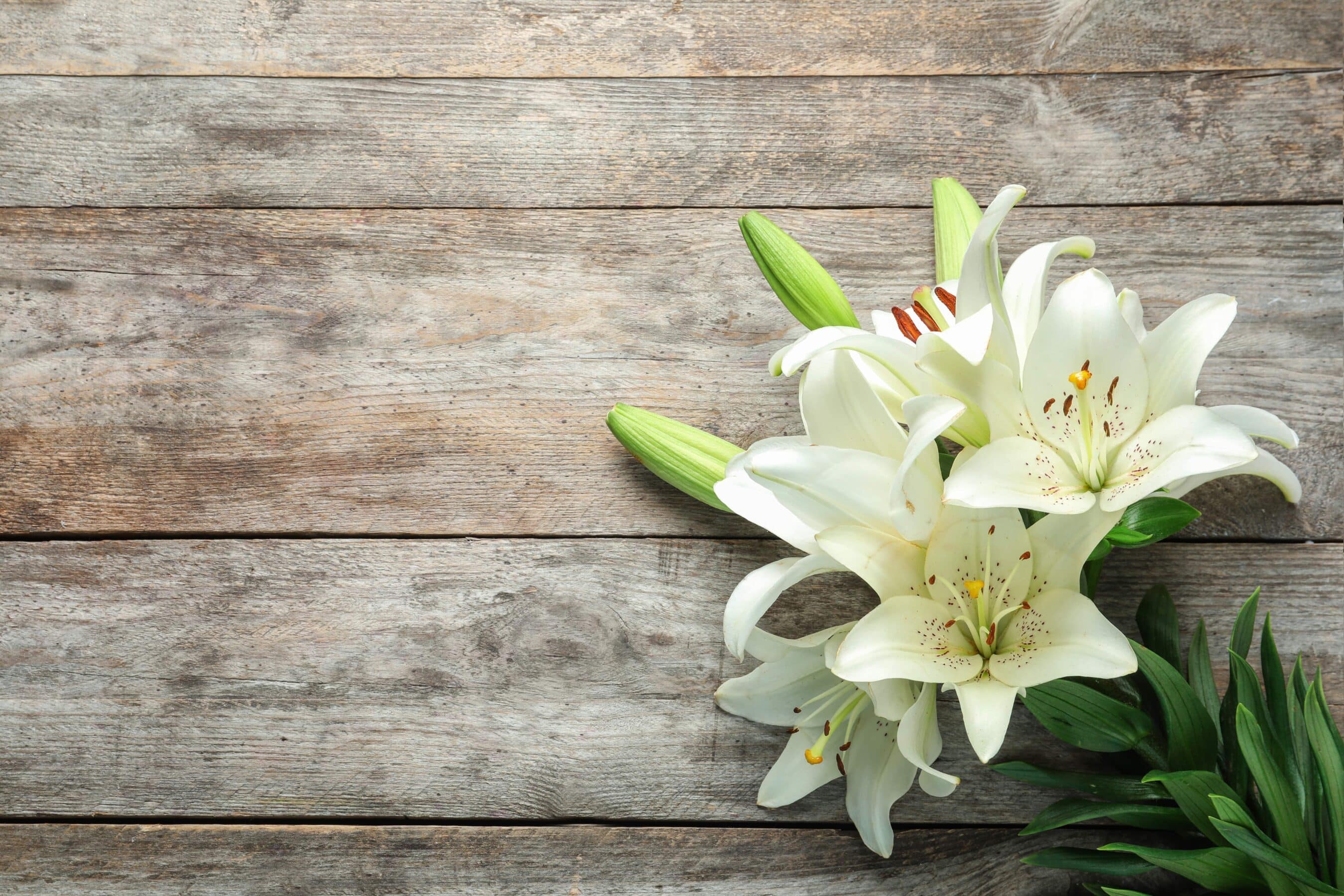 Flower Funeral Background