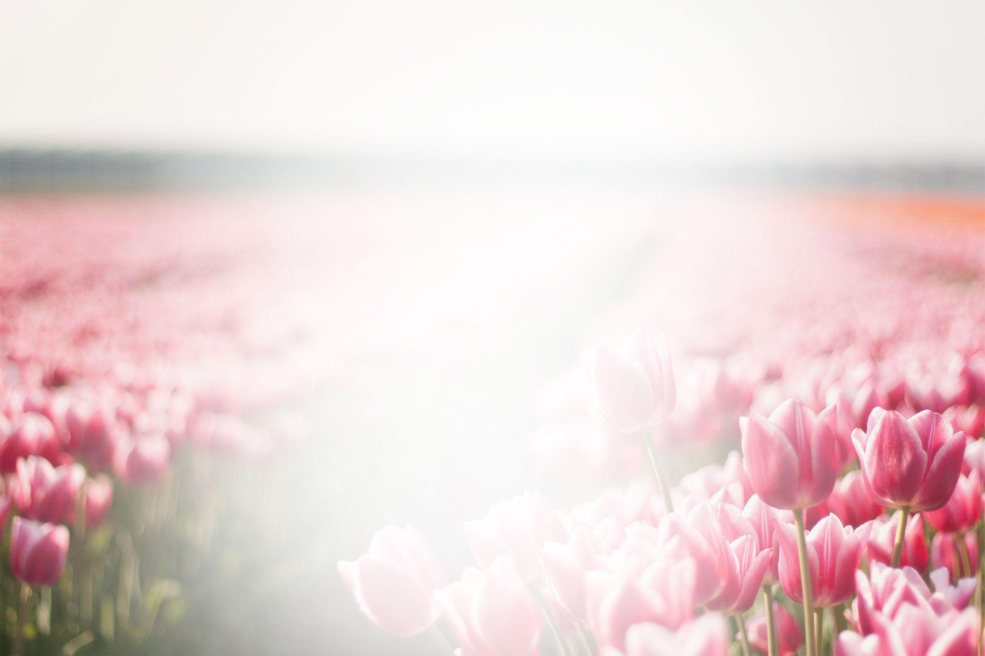 Flower Funeral Background