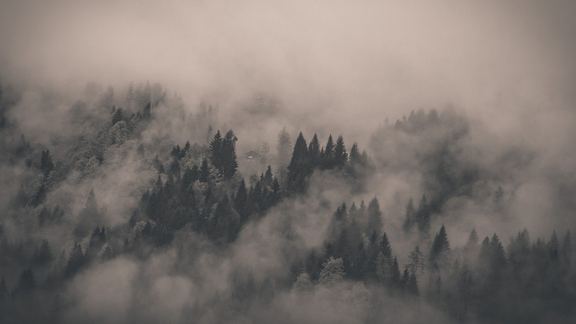Fog Backgrounds