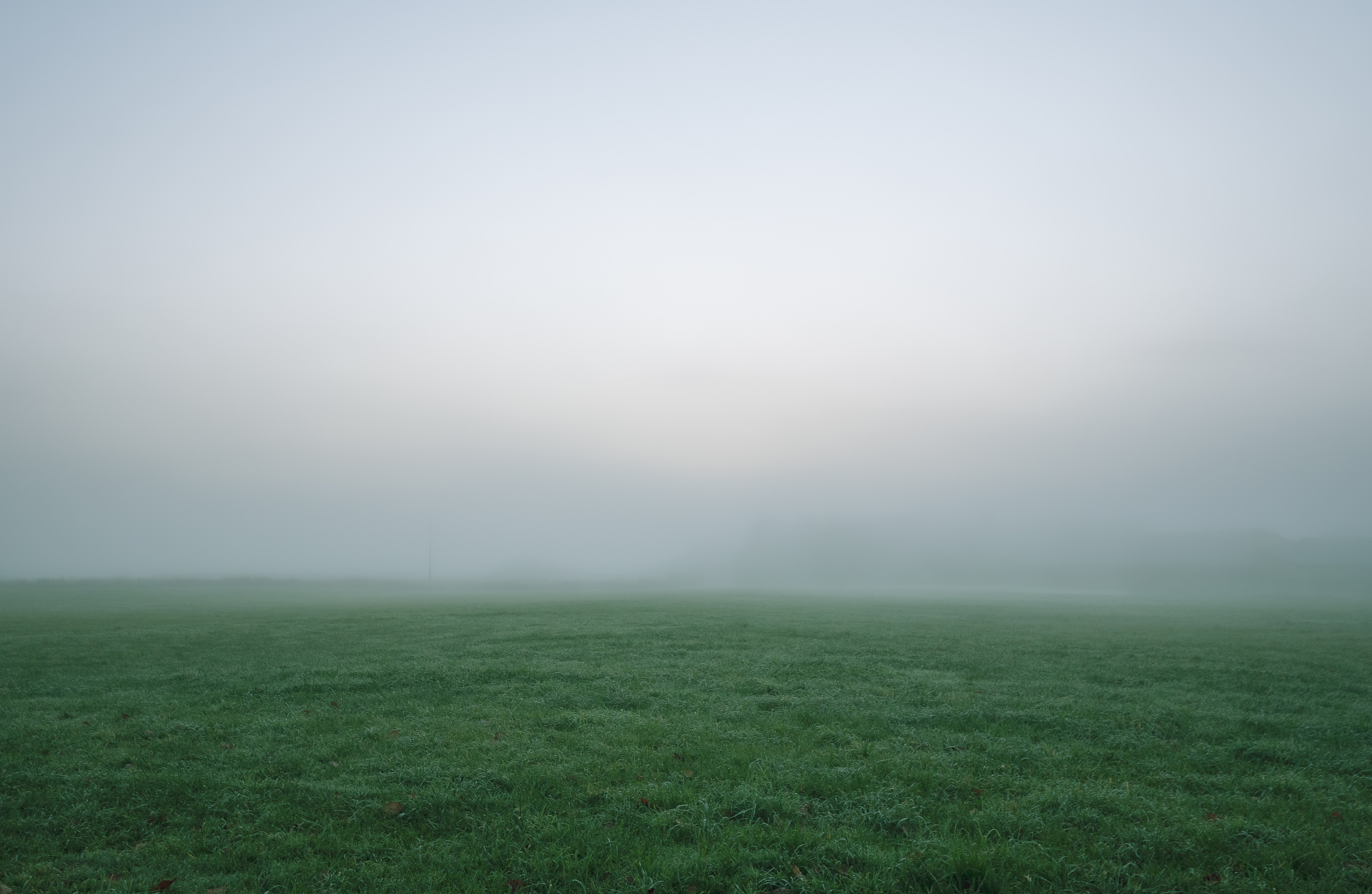 Fog Backgrounds