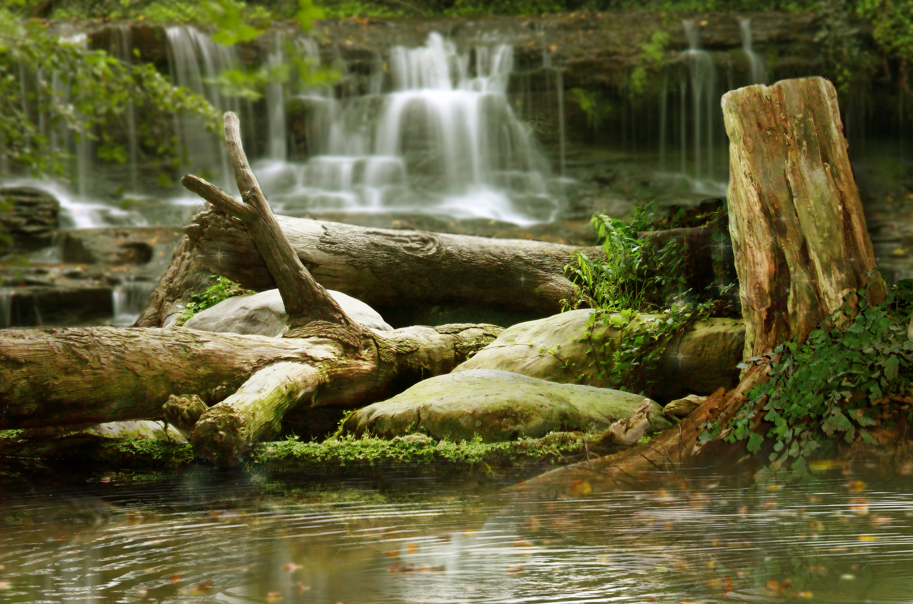 Forest Waterfall Background