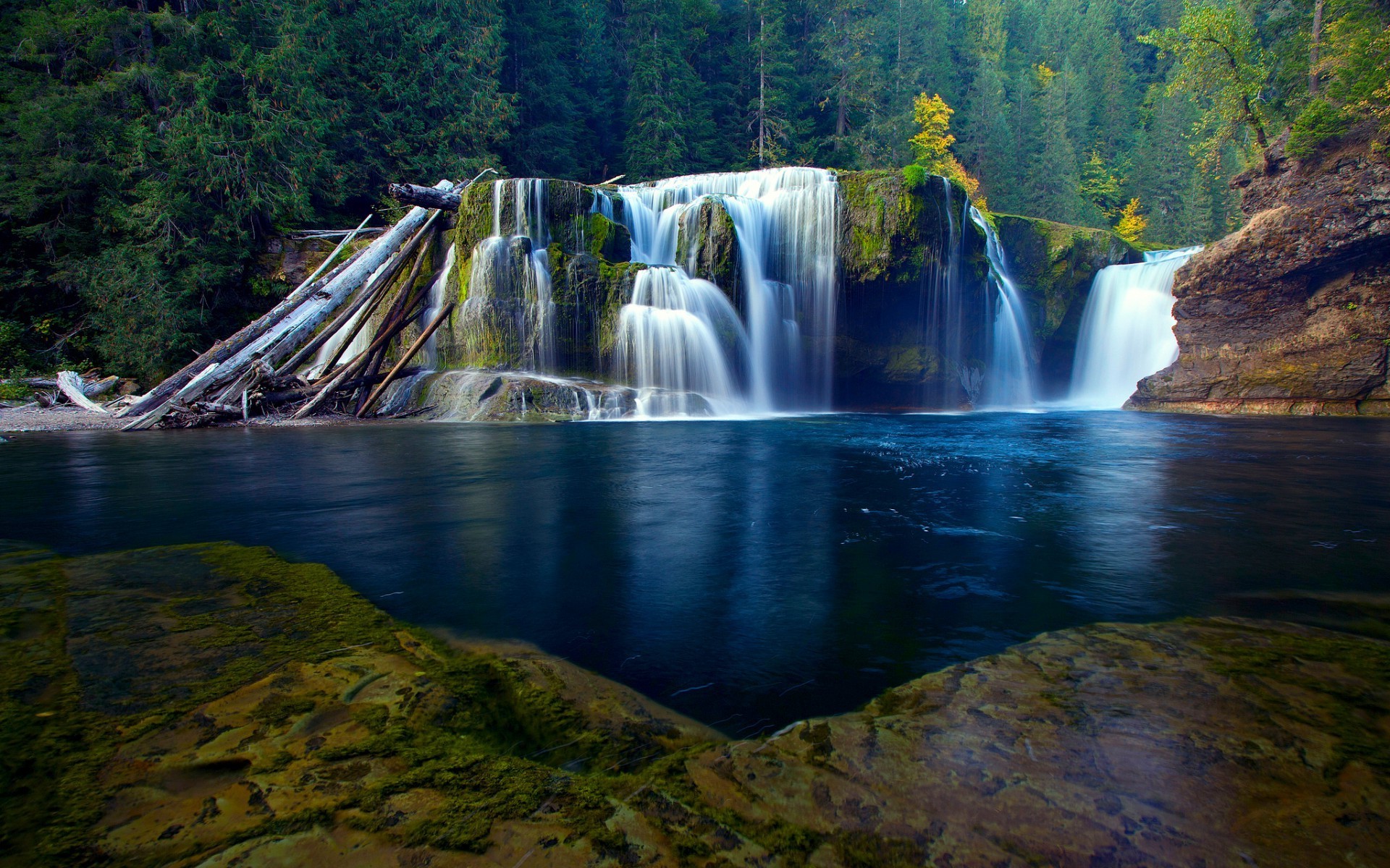 Forest Waterfall Background