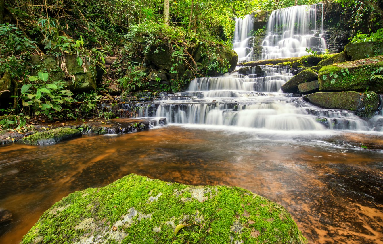 Forest Waterfall Background